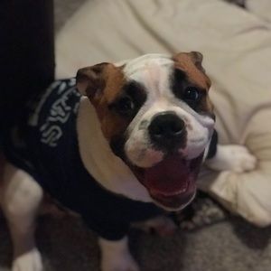 Meet your Posher, Lupe